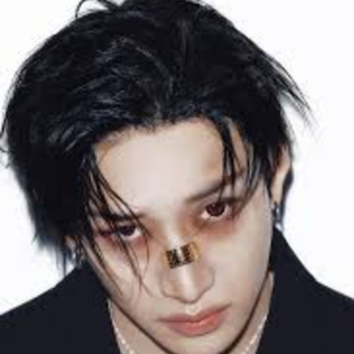 Imagen de la galería de Bang Chan