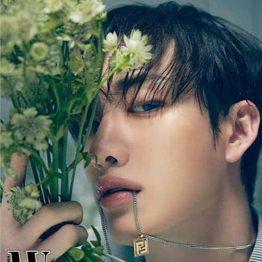 Bang Chan gallery image