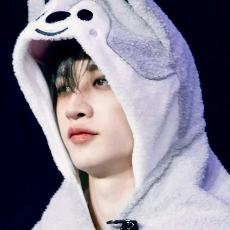 Bang Chan gallery image