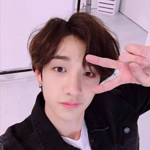 Bang Chan gallery image
