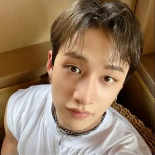 Bang Chan gallery image