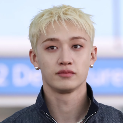 Imagen de la galería de Bang Chan