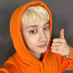 Bang Chan 3