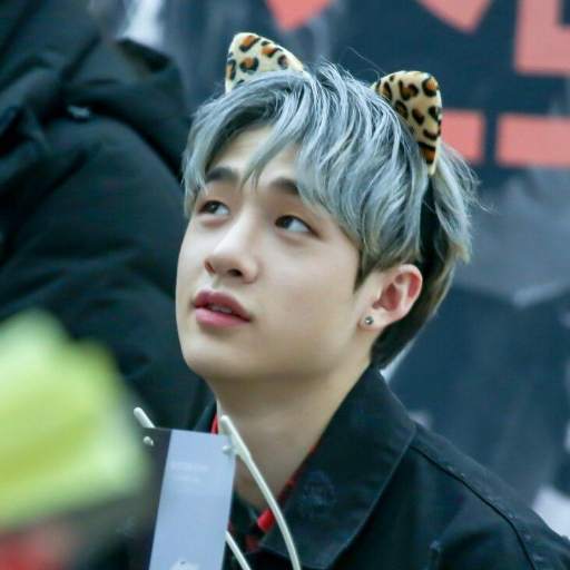 Imagen de la galería de Bang Chan