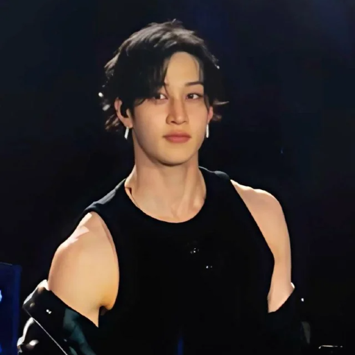 Imagen de la galería de Bang Chan