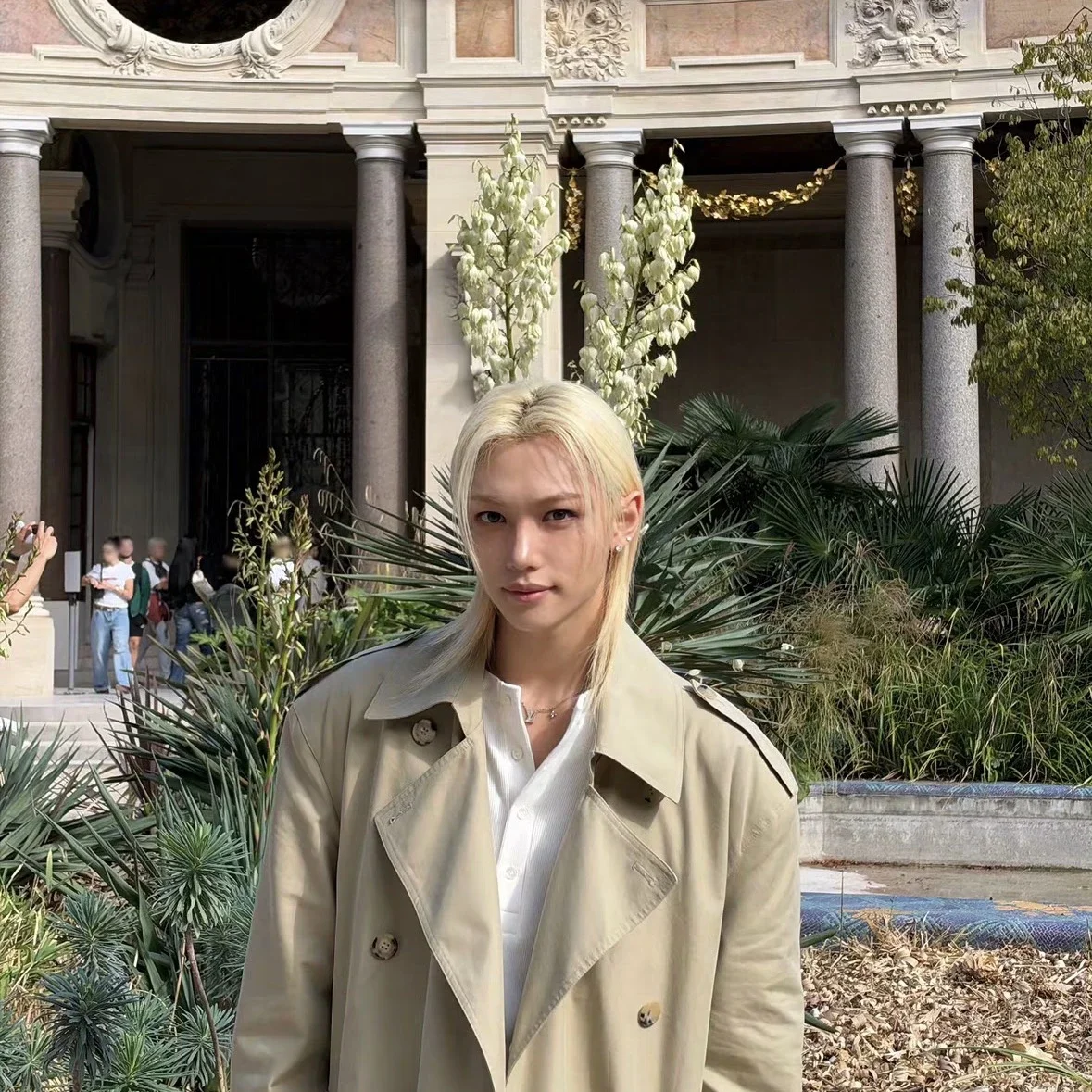 Felix gallery image