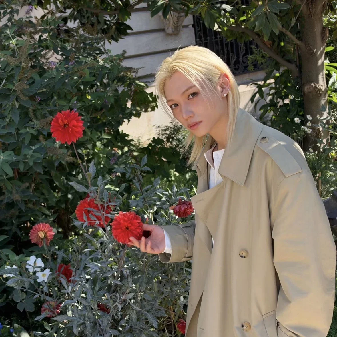 Felix gallery image