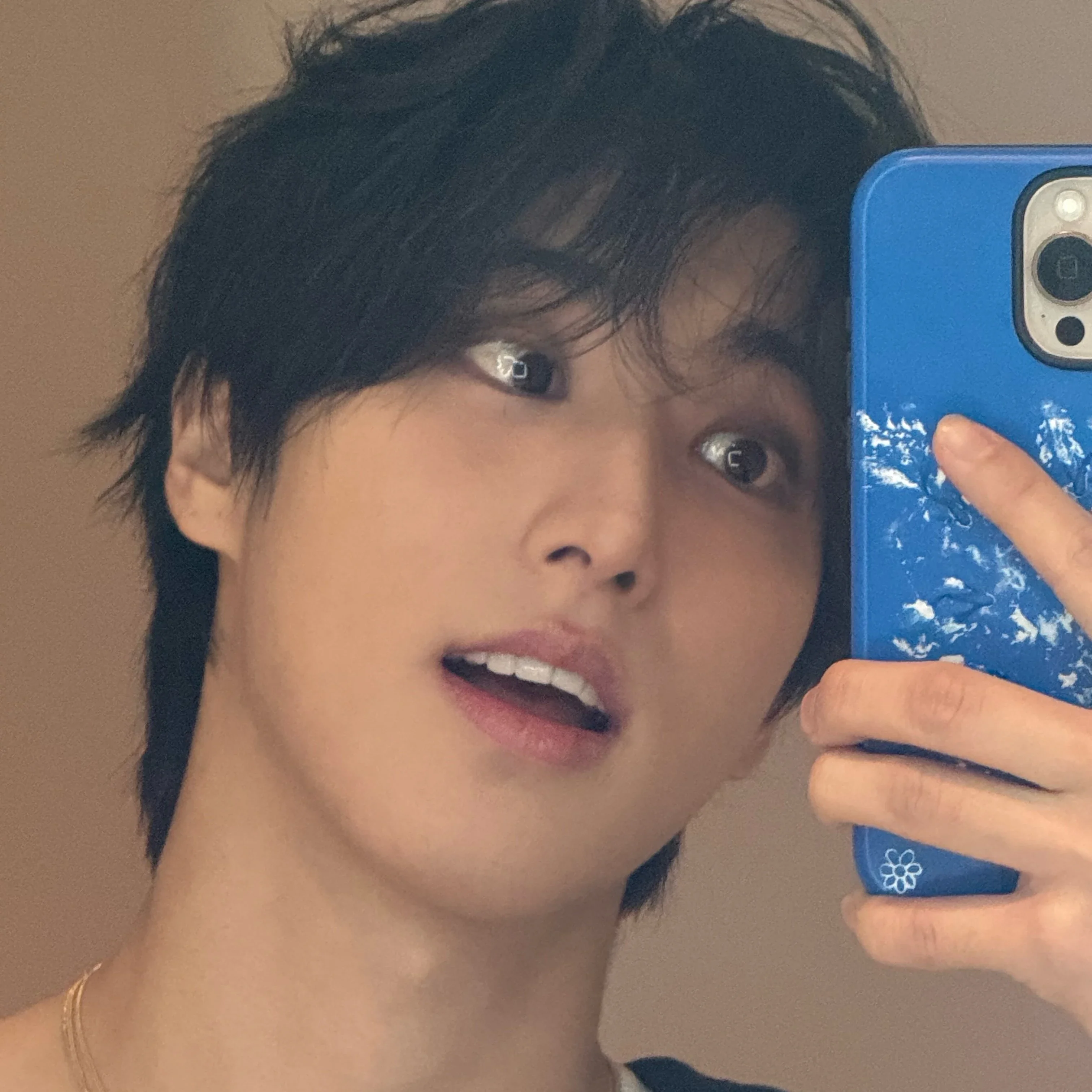 Han 갤러리 이미지