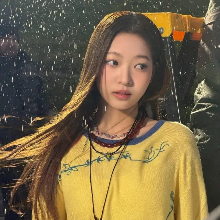 Jia的图库图片