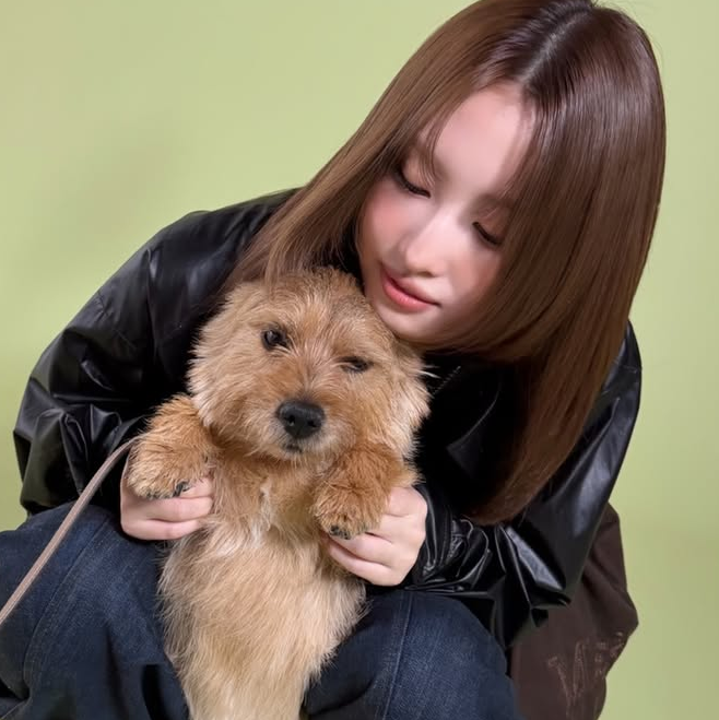Momo gallery image