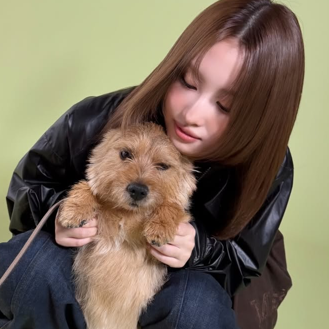 Momo