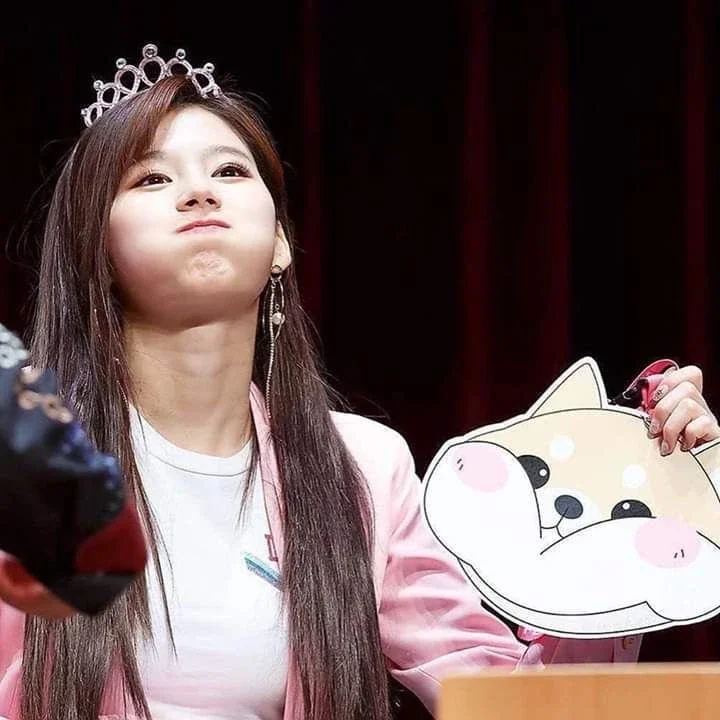 Sana gallery image