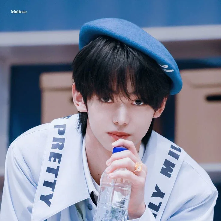 Imagem da galeria de Hanjin