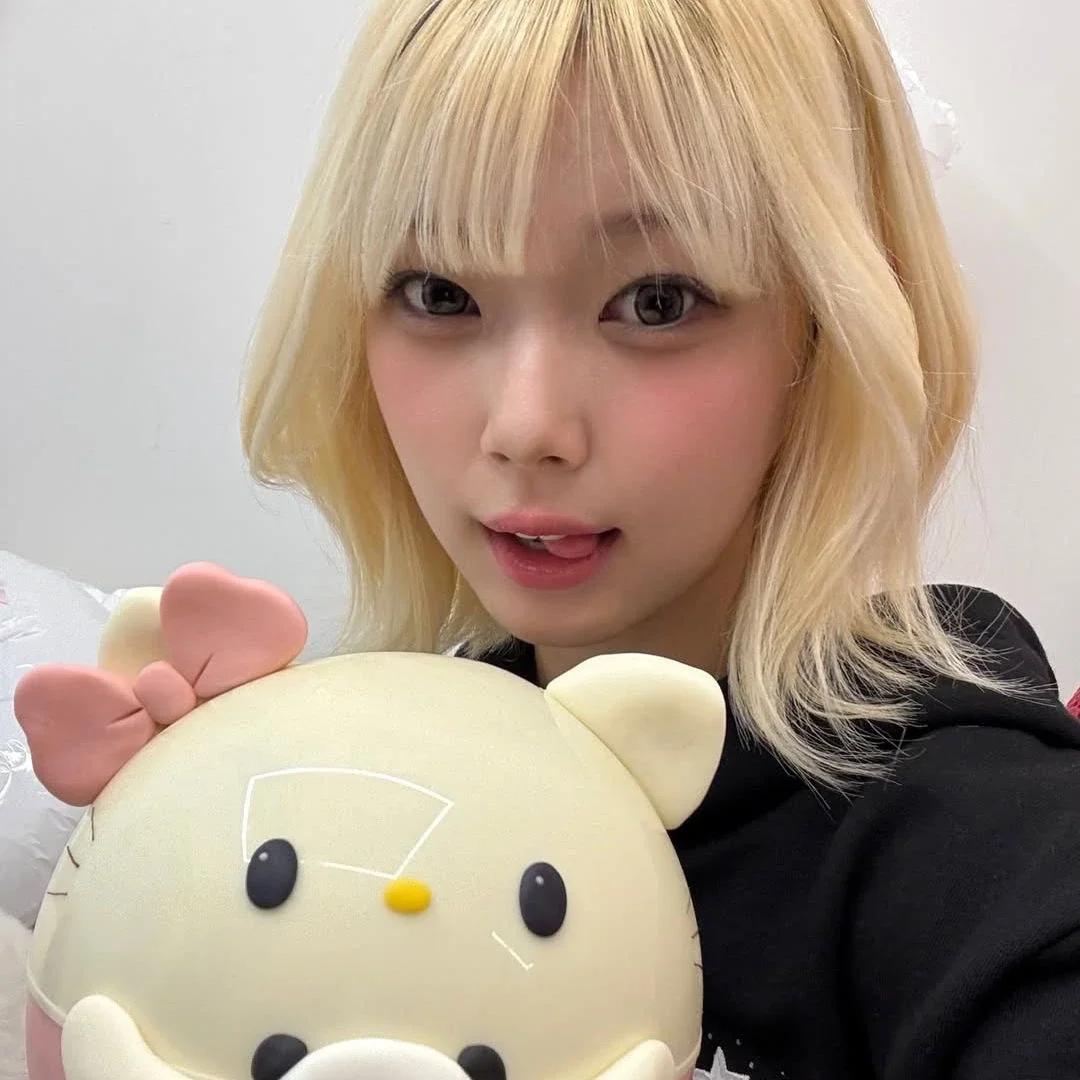 Kotoko 갤러리 이미지