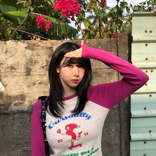 SinB gallery image