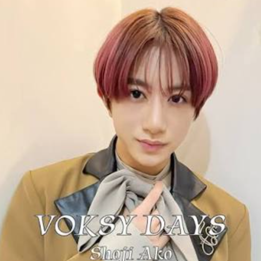 Shoji Ako gallery image