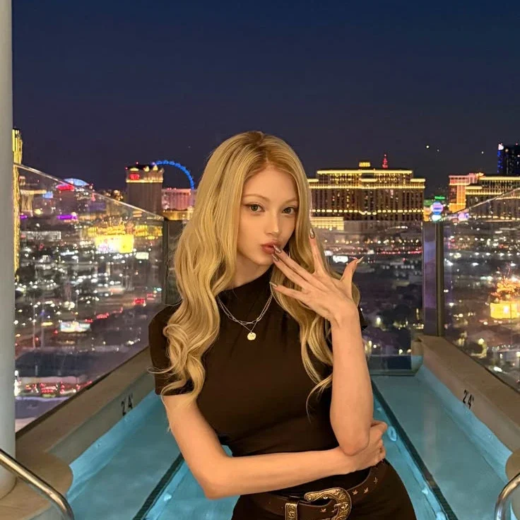 Nova 갤러리 이미지