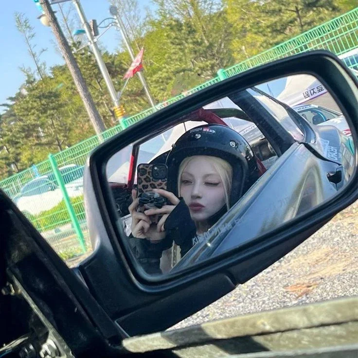 Nova 갤러리 이미지