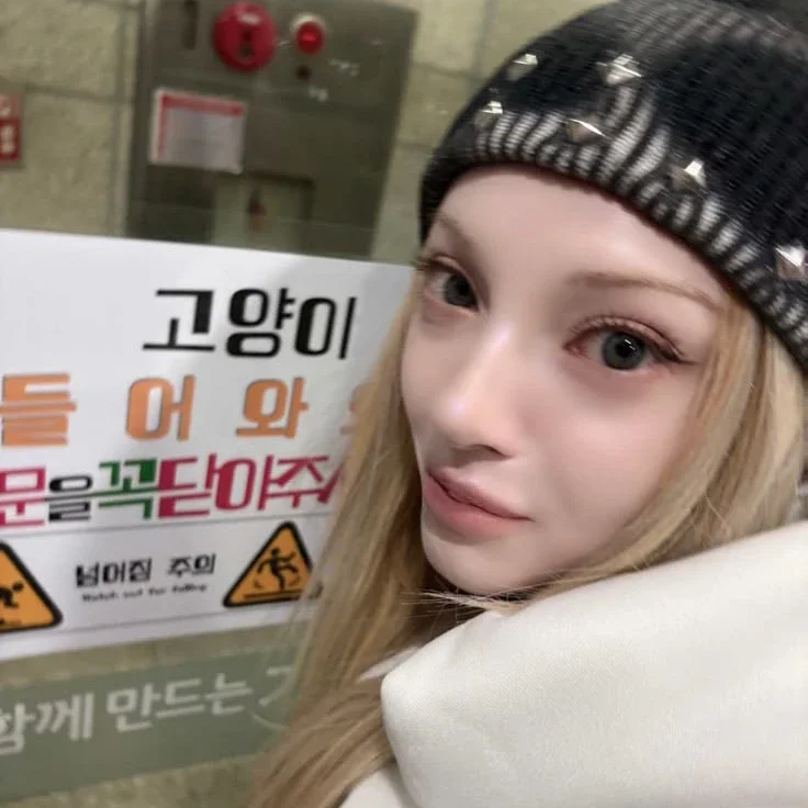 Nova 갤러리 이미지