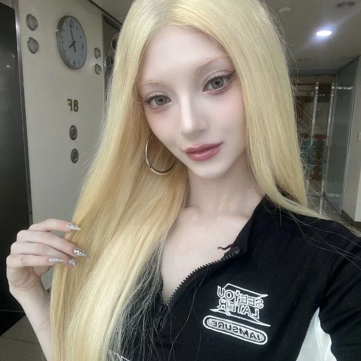 Nova 갤러리 이미지
