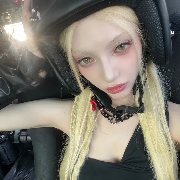 Nova 갤러리 이미지