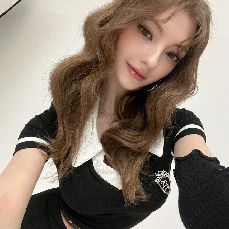 Nova 갤러리 이미지