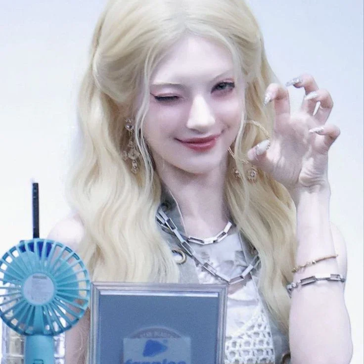 Nova 갤러리 이미지