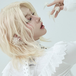 Rui gallery image