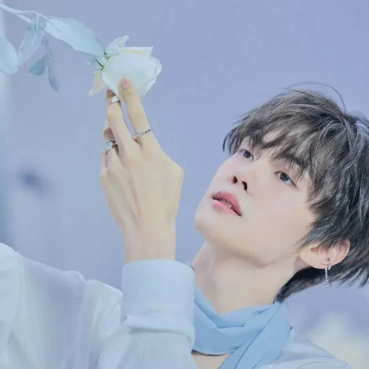Kim Gyuvin gallery image