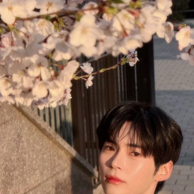 Imagen de la galería de Sung Hanbin