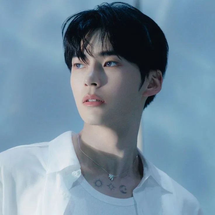 Imagen de la galería de Sung Hanbin