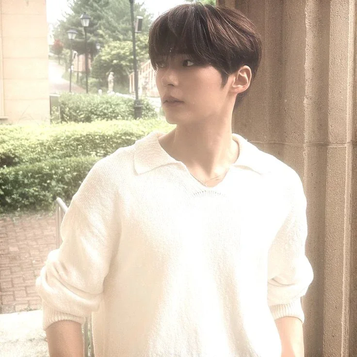 Imagen de la galería de Sung Hanbin
