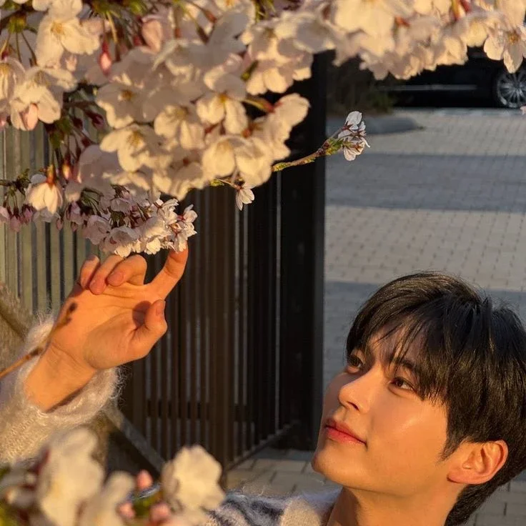 Imagen de la galería de Sung Hanbin