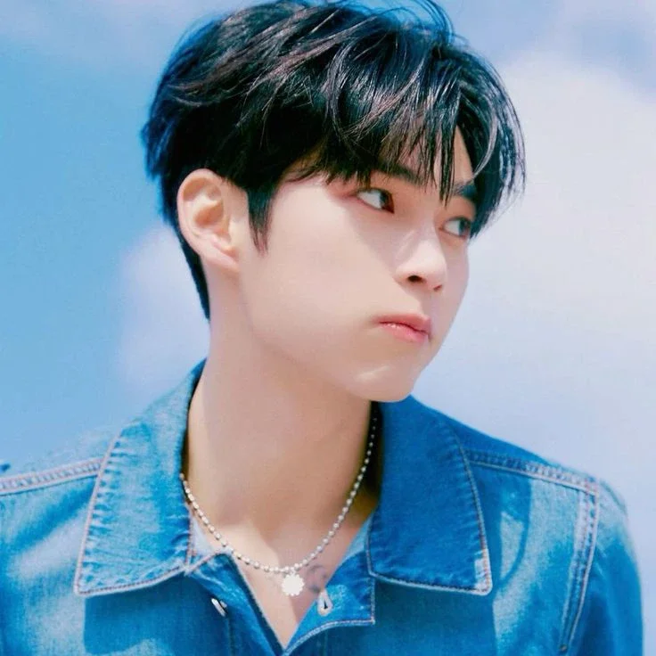 Imagen de la galería de Sung Hanbin