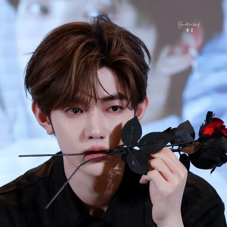 Zhang Hao gallery image