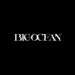 Big Ocean logo