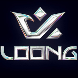 LOONG9 LOONG9 logo
