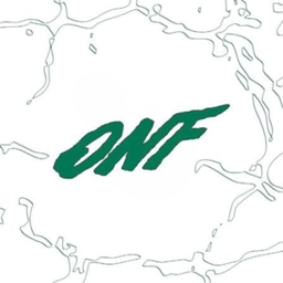 ONF logo