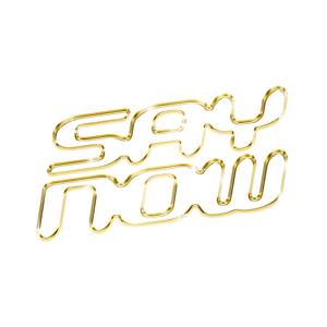 Say Now logo