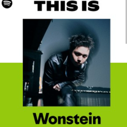 Wonstein logo
