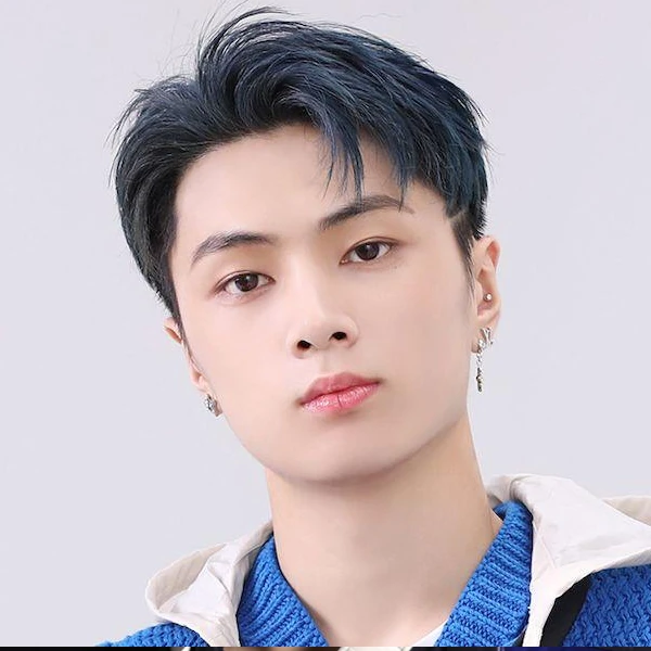 Kpop Face Matching Quiz: Test Your Idol Knowledge | Kpop Visage