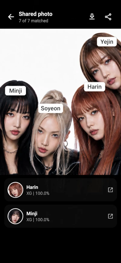 Idol Vision screenshot 4