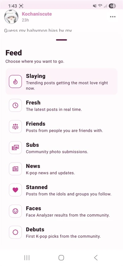 Kpop Visage Mobile app screenshot 10